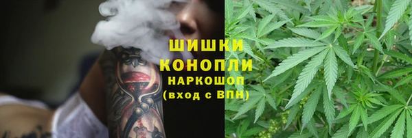 кристаллы Гусев