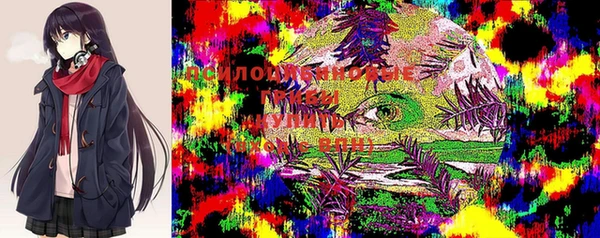 кристаллы Гусев