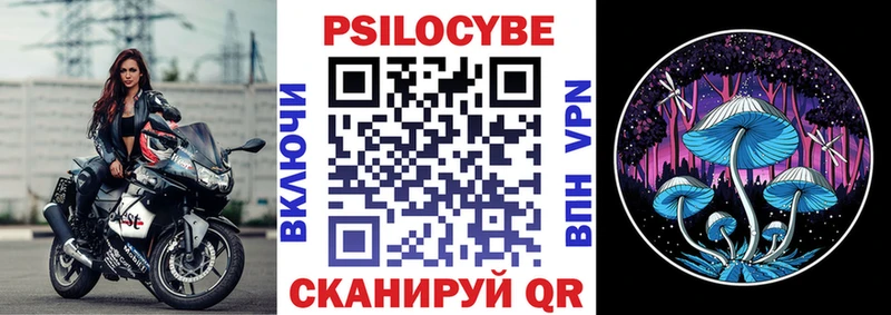 где купить наркоту  Мезень  Псилоцибиновые грибы Psilocybe 